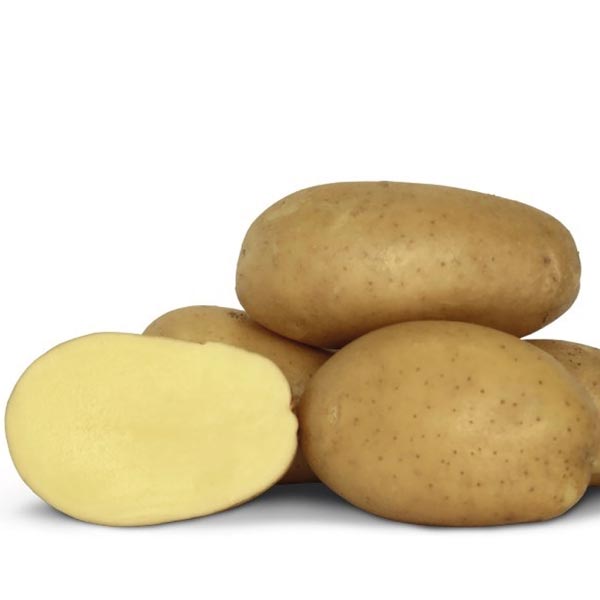 Potatoes