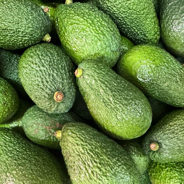 Avocado
