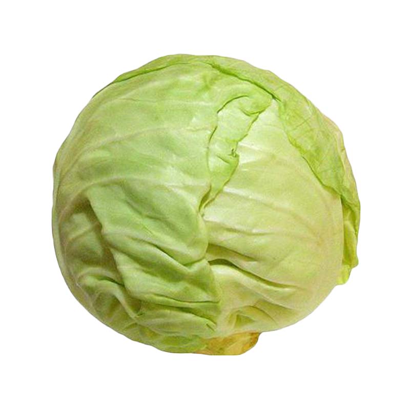Cabbage