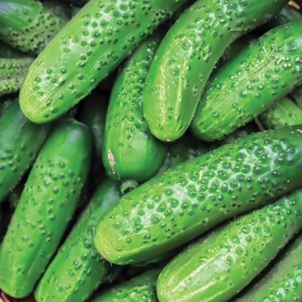 Cucumbers