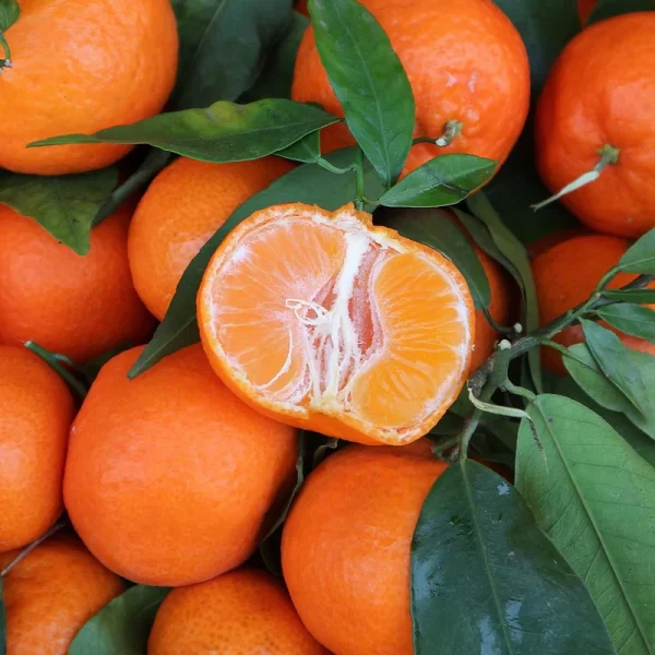 Clementines