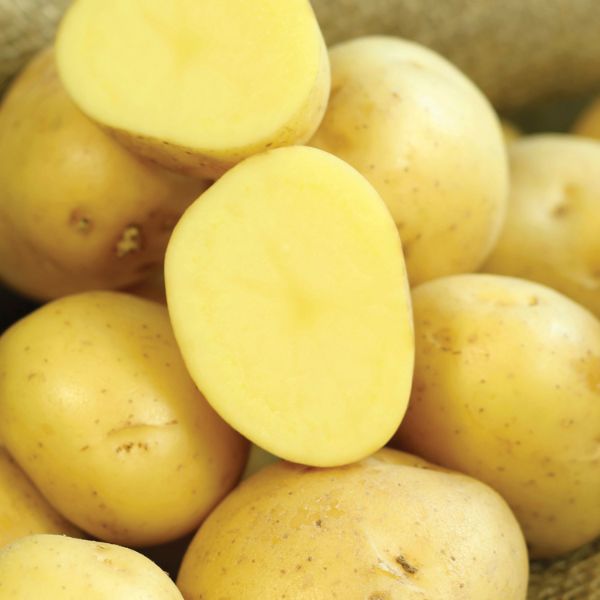 Potatoes