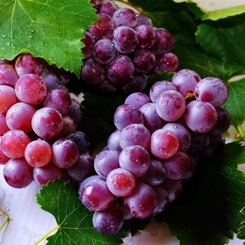 Grapes
