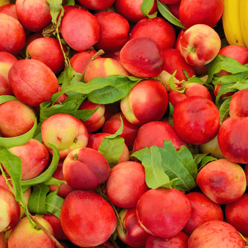 Nectarines