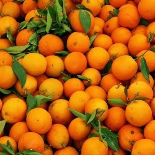 Oranges