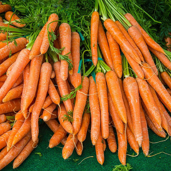 Carrots
