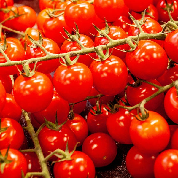 Tomatoes