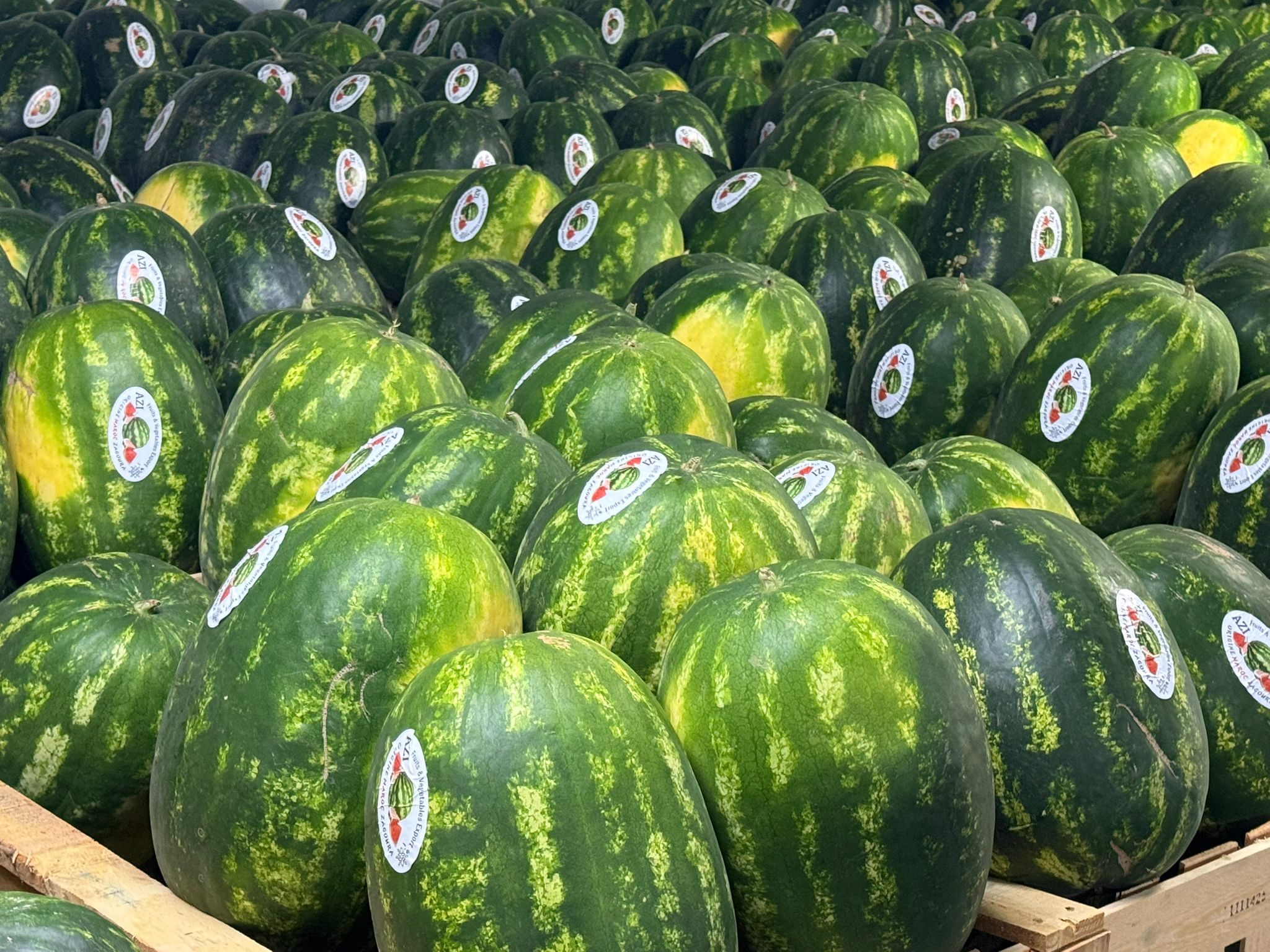 Watermelon