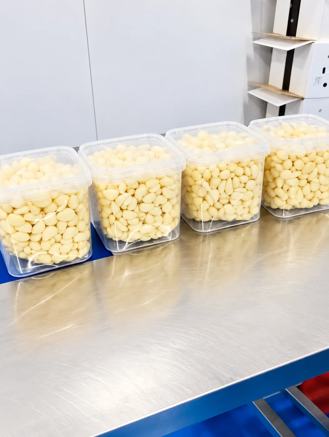 Containers of peeled garlic on the preparation line
